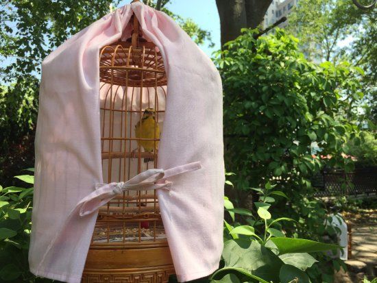 Sarah Roosevelt Park